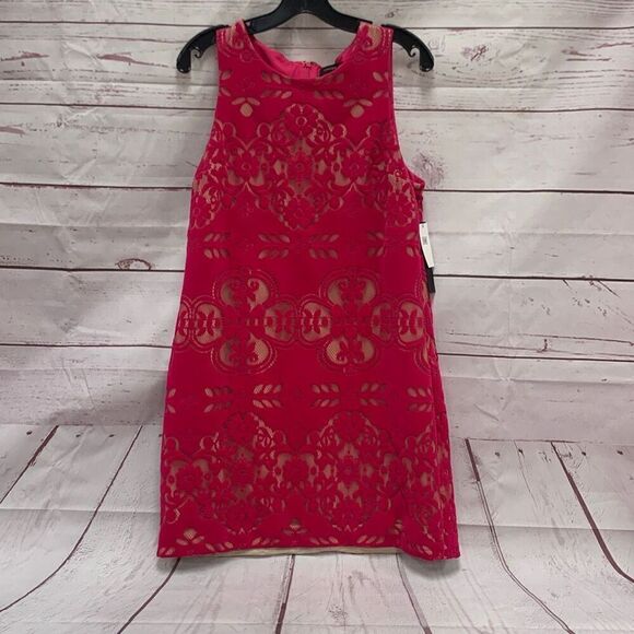 Brand New Cynthia Steffe Dancing Rose Fuschia Pink Lace Mini Dress Size 8 NWT C9 - Picture 1 of 6